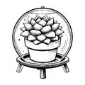 Simple line drawing of a small potted succulent under a glass dome cover on a minimalist wooden stand Royalty Free Stock Photo